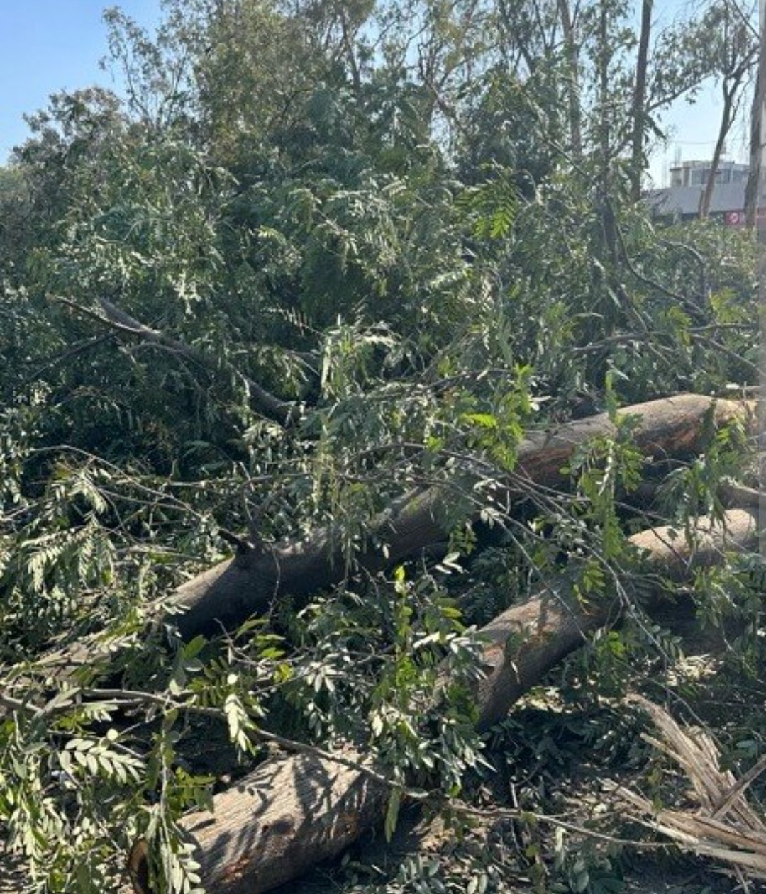 Screenshot 20251226 153136.Chrome28129