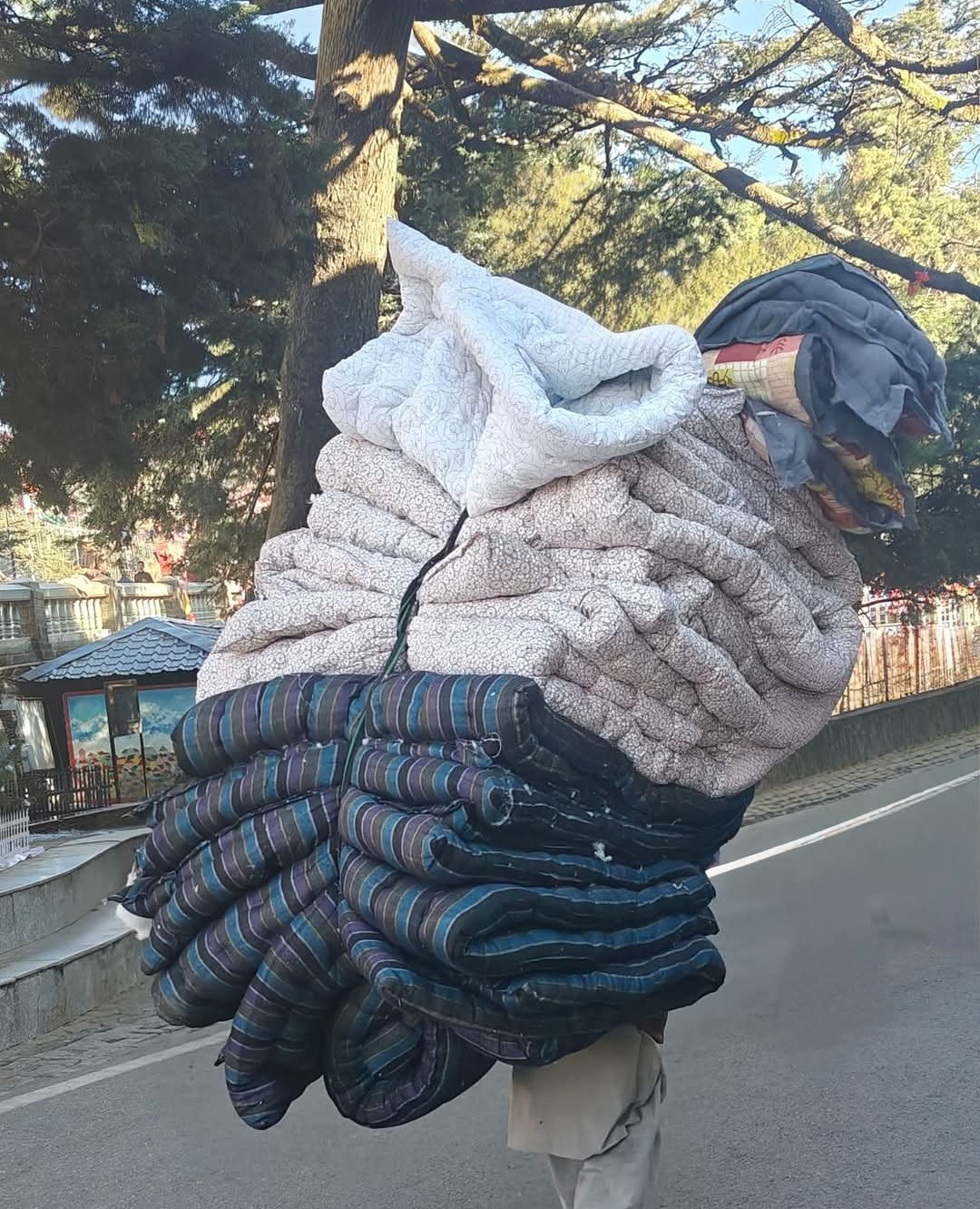 Screenshot 20251227 213402.Facebook28129