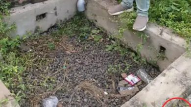 MP : सरकारी झूठ’ पर राष्ट्रीय अवॉर्ड, कलेक्टर-सीईओ ने पोर्टल पर अपलोड किए फर्जी आंकड़े-तस्वीरें 8 Screenshot 20251228 155304.Gmail28129