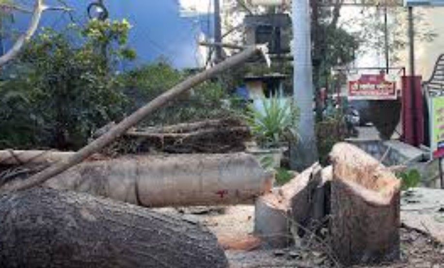 screenshot 20251226 1531537502816031613808798