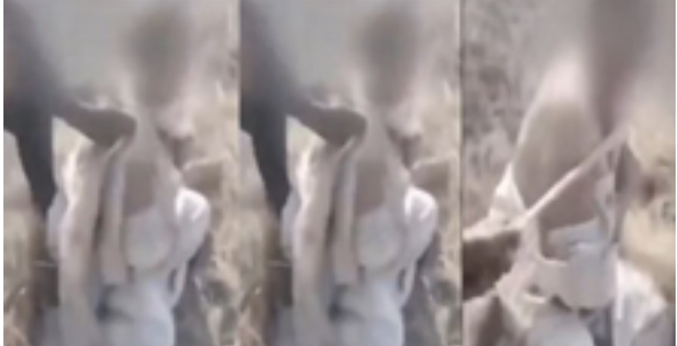 Screenshot 20260103 210554.Chrome28129