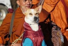 Screenshot 20260107 120557.Chrome28129