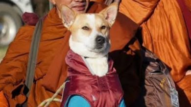 Screenshot 20260107 120557.Chrome28129