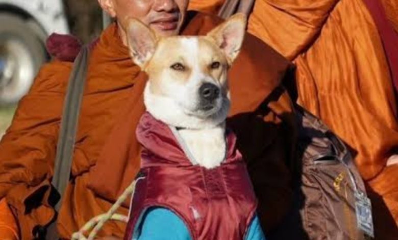 Screenshot 20260107 120557.Chrome28129