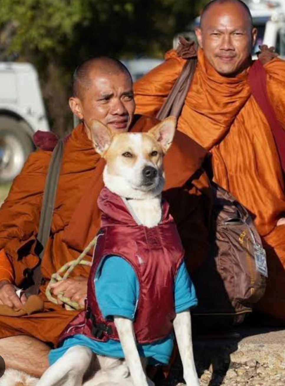 Screenshot 20260107 120557.Chrome28129