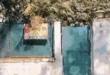 Bhopal : बिना पात्रता बंगलों में जमे पूर्व मंत्री- अफसर होंगे 'बेघर'..? प्रभात झा का बंगला खाली करने के लिए 13 जनवरी तक का समय दिया 2 Screenshot 20260109 121150.Chrome28129