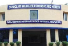 MP : जबलपुर में पंचगव्य योजना में 3.5 करोड़ का घोटाला, इलाज के पैसे अधिकारियों ने घूमने-फिरने और गाड़ियां खरीदने में उड़ाए, कलेक्टर की जांच टीम का खुलासा 2 Screenshot 20260110 140019.Chrome28129