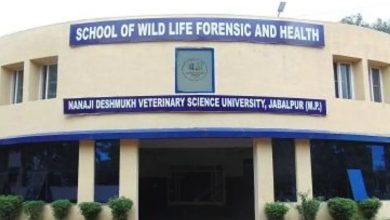 Screenshot 20260110 140019.Chrome28129