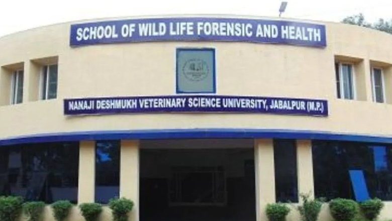 MP : जबलपुर में पंचगव्य योजना में 3.5 करोड़ का घोटाला, इलाज के पैसे अधिकारियों ने घूमने-फिरने और गाड़ियां खरीदने में उड़ाए, कलेक्टर की जांच टीम का खुलासा 1 Screenshot 20260110 140019.Chrome28129