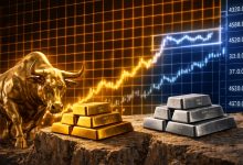 Screenshot 20260119 153226.Chrome28129