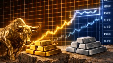 Screenshot 20260119 153226.Chrome28129