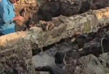 Screenshot 20260123 200959.DainikBhaskar28129