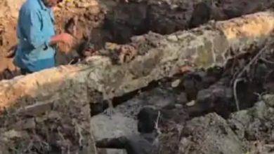 Indore में दूषित पानी से 26वीं मौत, इलाज के दौरान बुजुर्ग ने तोड़ा दम 4 Screenshot 20260123 200959.DainikBhaskar28129