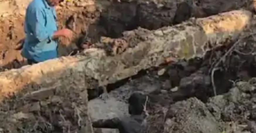 Indore में दूषित पानी से 26वीं मौत, इलाज के दौरान बुजुर्ग ने तोड़ा दम 6 Screenshot 20260123 200959.DainikBhaskar28129