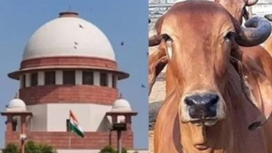 Screenshot 20260129 215105.Chrome28129