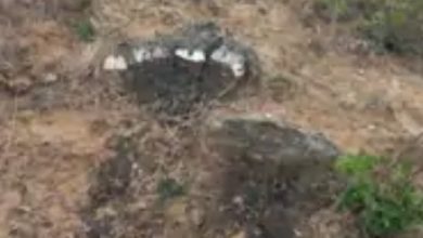 Screenshot 20260206 224540.Chrome28129