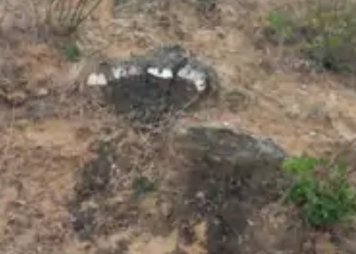 Screenshot 20260206 224540.Chrome28129