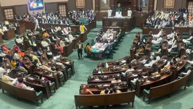 Screenshot 20260219 153217.Chrome28129