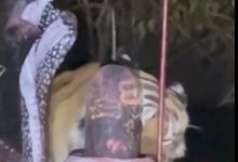 Screenshot 20260221 140213.Chrome28129