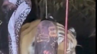 Screenshot 20260221 140213.Chrome28129