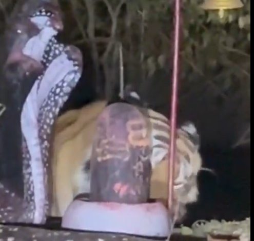 Screenshot 20260221 140213.Chrome28129