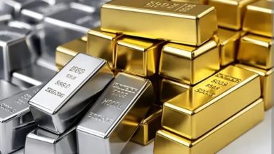 Screenshot 20260223 152953.Chrome28129