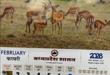 Screenshot 20260227 171431.Gmail28129