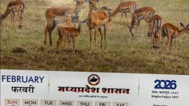 Screenshot 20260227 171431.Gmail28129