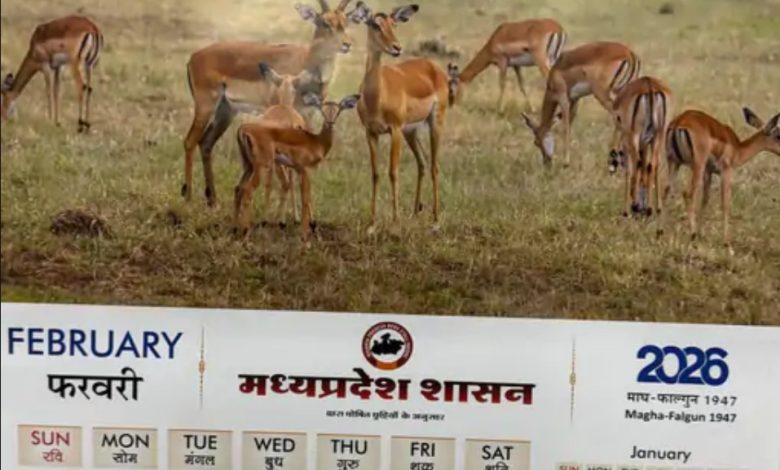 Screenshot 20260227 171431.Gmail28129