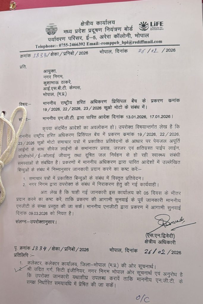 img 20260228 wa00208543281030962682157