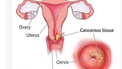 Screenshot 20260312 124125.Chrome28129