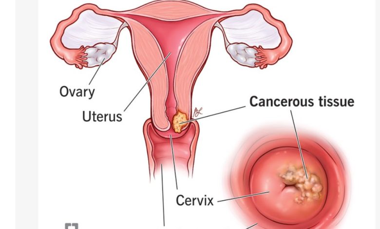 Screenshot 20260312 124125.Chrome28129