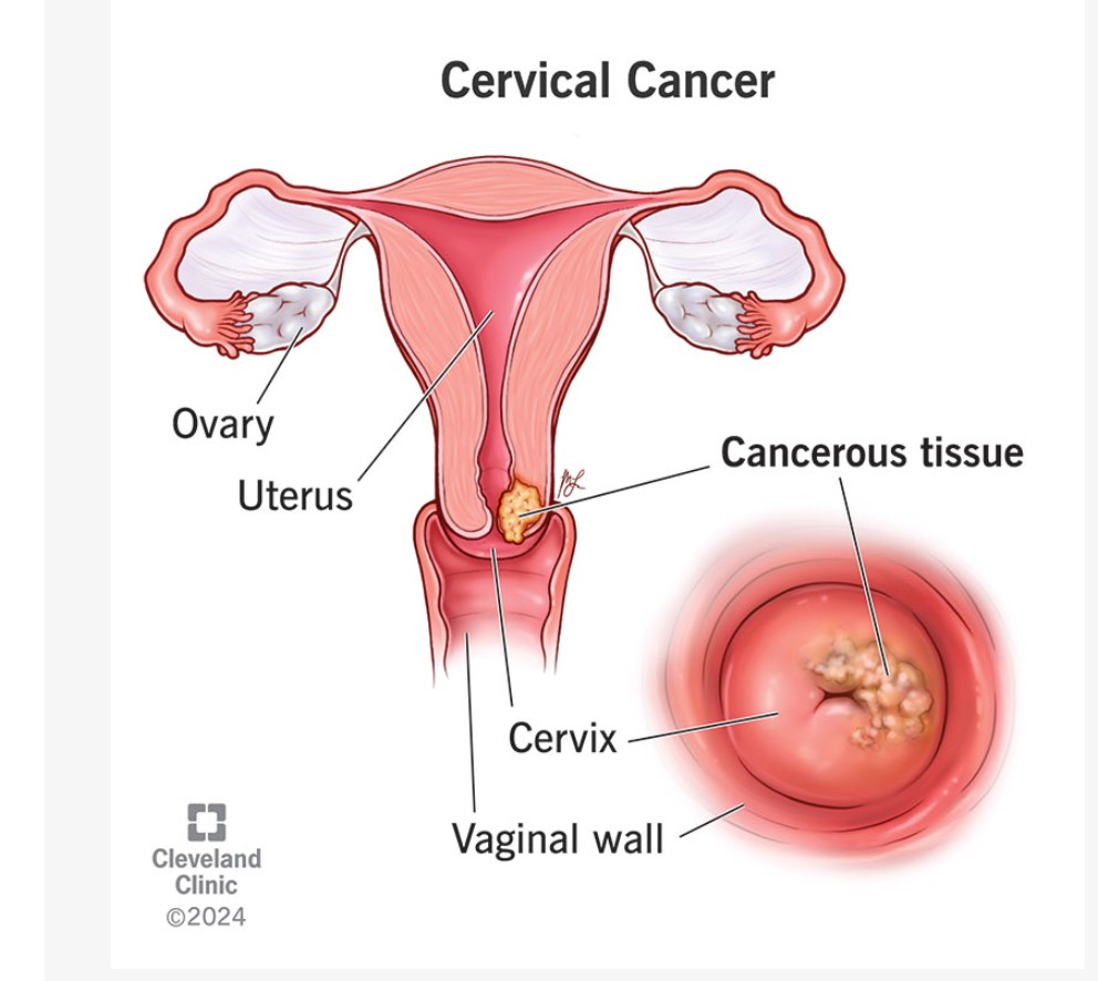 Screenshot 20260312 124125.Chrome28129