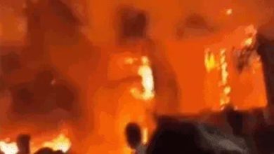 Screenshot 20260318 110700.Chrome28129