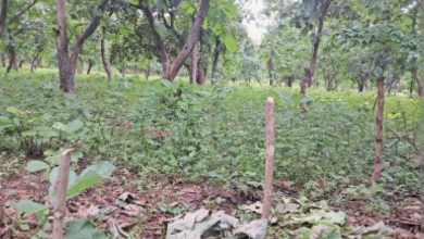 Screenshot 20260321 160131.Chrome28129 1