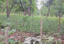 Screenshot 20260321 160131.Chrome28129