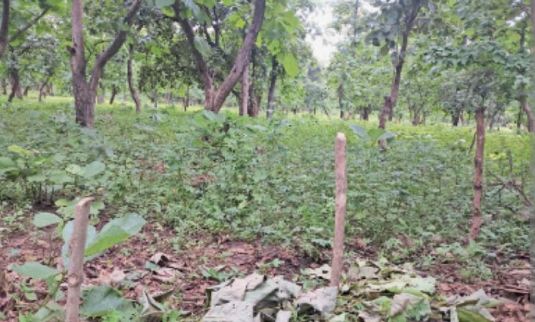 Screenshot 20260321 160131.Chrome28129