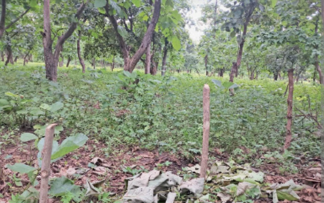 Screenshot 20260321 160131.Chrome28129