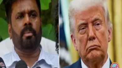 Screenshot 20260321 195205.Chrome28129