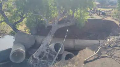 Screenshot 20260322 152922.Chrome28129