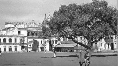 Screenshot 20260327 210813.Chrome28129