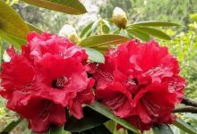 IMG 20260407 WA000328229