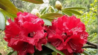 IMG 20260407 WA000328229