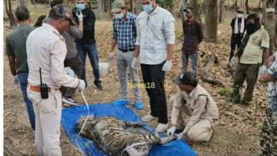 Screenshot 20260427 141725.Chrome28129