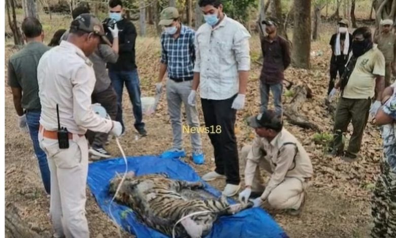 MP : कान्हा में 3 शावकों की मौत, बाघिन-एक शावक का रेस्क्यू, मुक्की क्वारंटीन सेंटर में इलाज जारी, जांच में जुटा वन विभाग 1 Screenshot 20260427 141725.Chrome28129