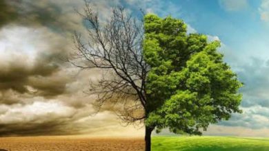 Screenshot 20260430 170134.Chrome28129