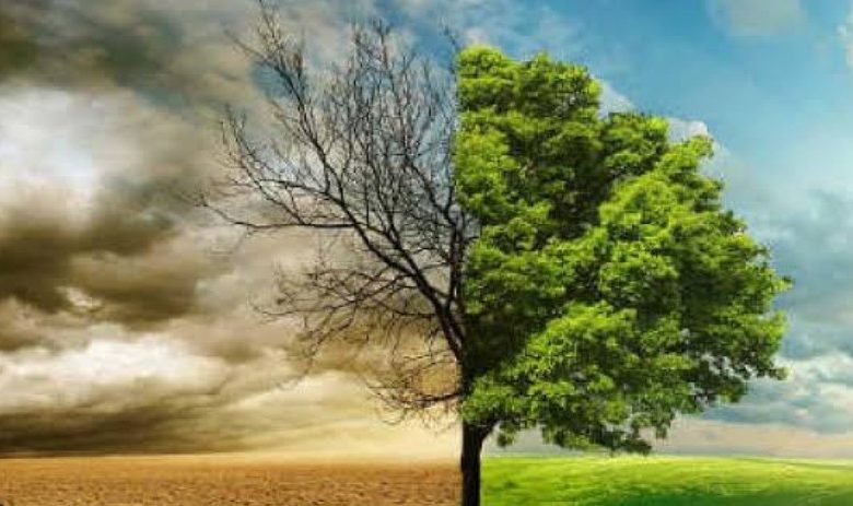 Screenshot 20260430 170134.Chrome28129