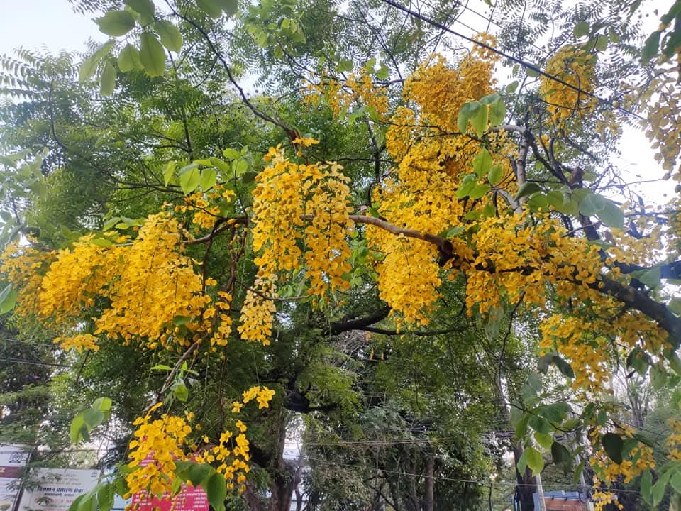 IMG 20260526 WA0015