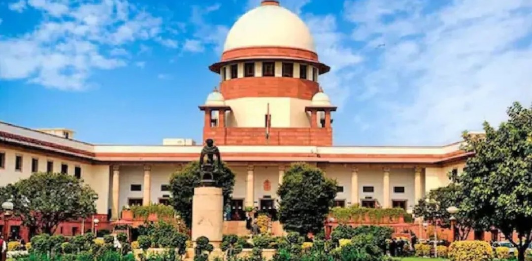 Supreme court ने कहा आवारा कुत्तों को दें मौत का इंजेक्शन, आदमी की सुरक्षा सर्वोपरि 6 Screenshot 20260517 154112.Chrome28129 1