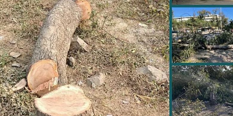 Bhopal अयोध्या बायपास: सड़कें होंगी चौड़ी पर सिकुड़ जाएंगे जल क्षेत्र, काटे जा रहे सैकड़ों पेड़ 1 Screenshot 20260611 173426.Chrome28129